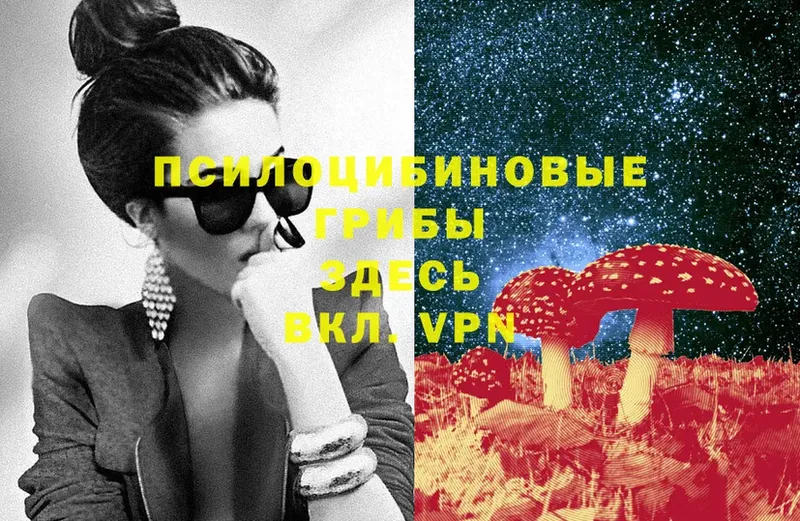 Псилоцибиновые грибы Magic Shrooms Белово